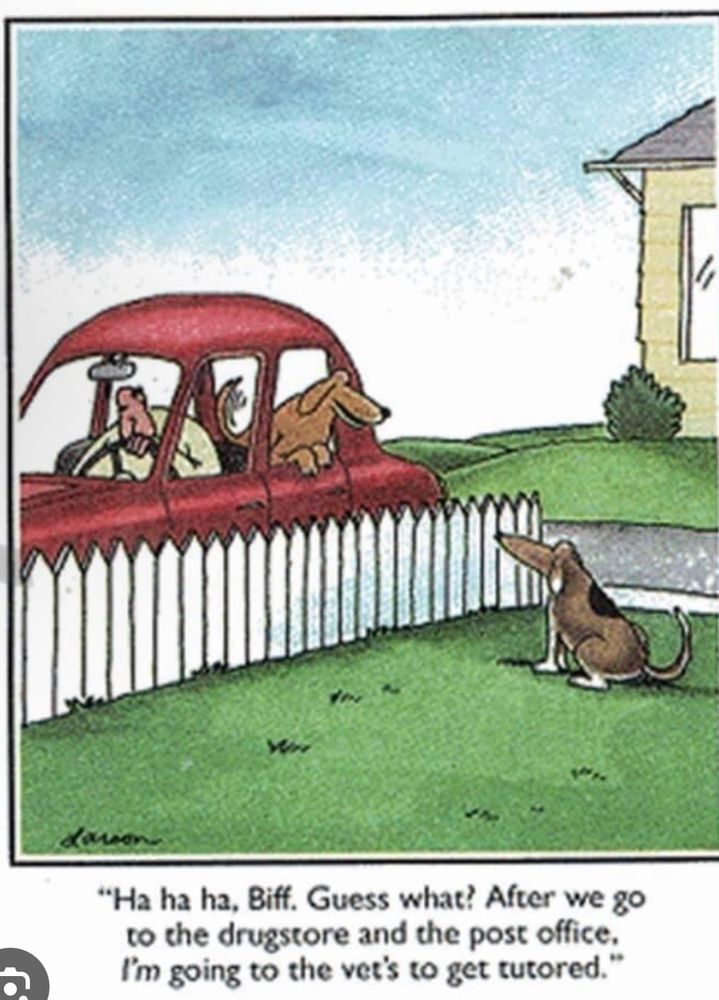 Comment image