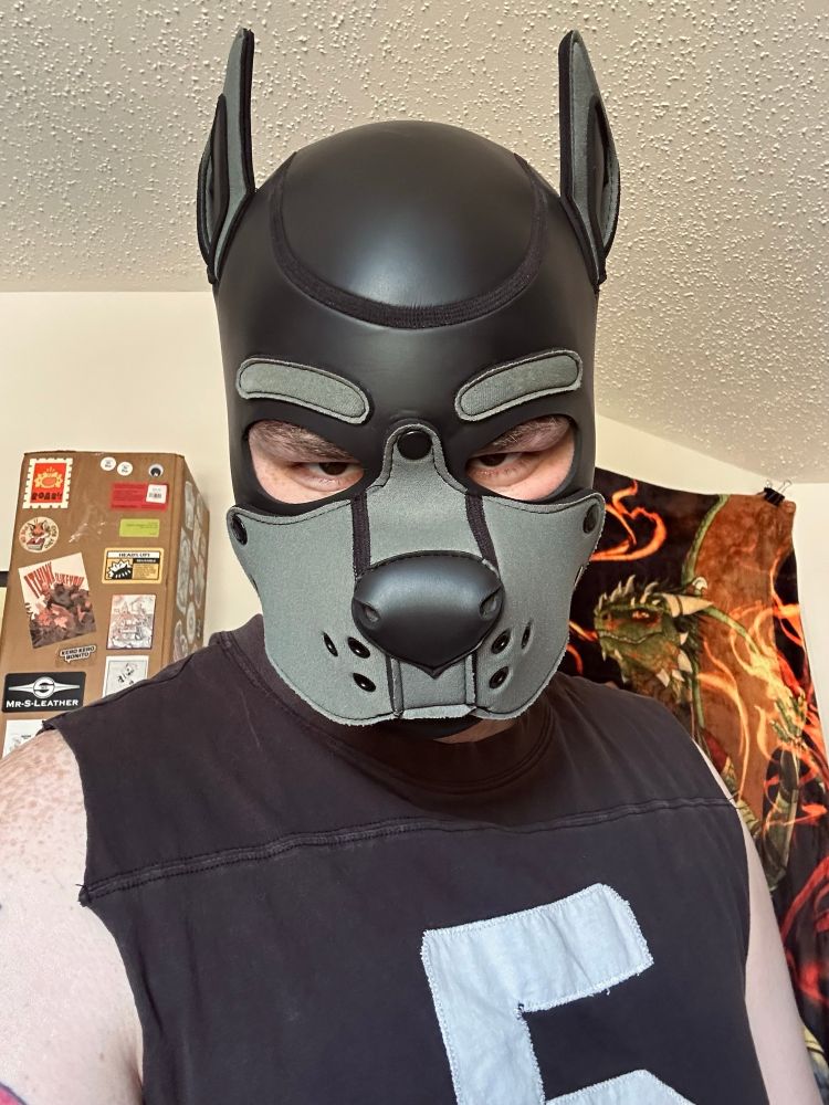 a man in a dog masking making a grumpy expression