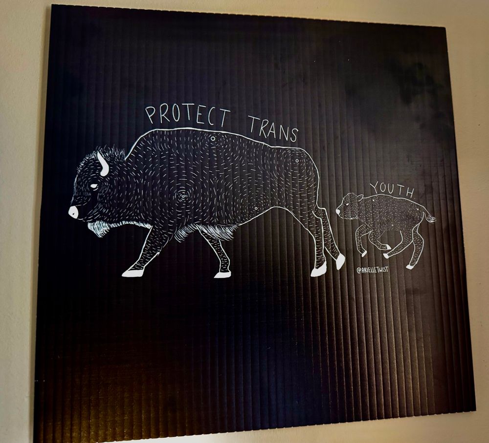 A drawing of two Buffalo by Arielle Twist with the words “protect trans youth” 