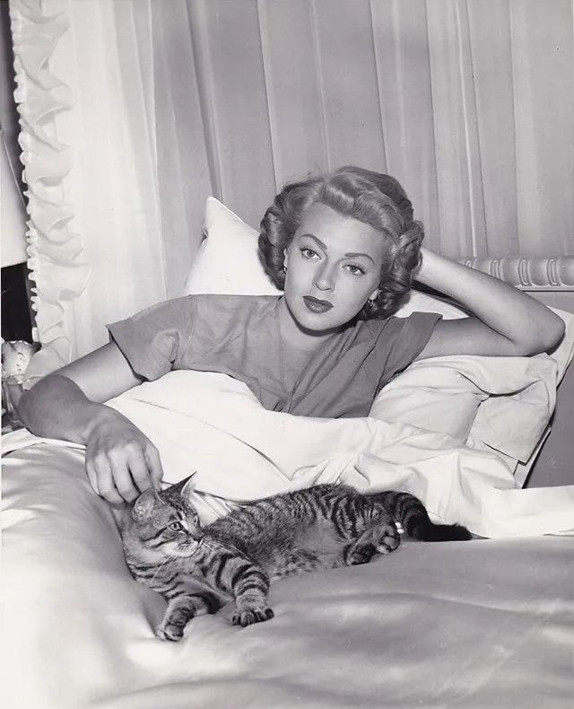 Lana Turner, impeccably coiffed, is in bed leaning on a pillow with a most beautiful tabby stretched out and relaxing beside her. (b&w)