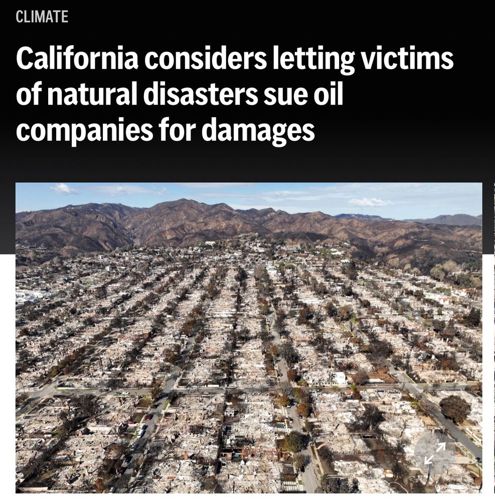 This image shows an ariel perspective of the Palisades Fire aftermath, which is miles of destroyed residential homes. 