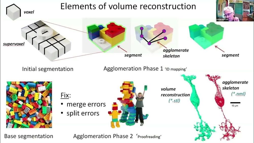David Berson on Large scale Retinal Connectomics