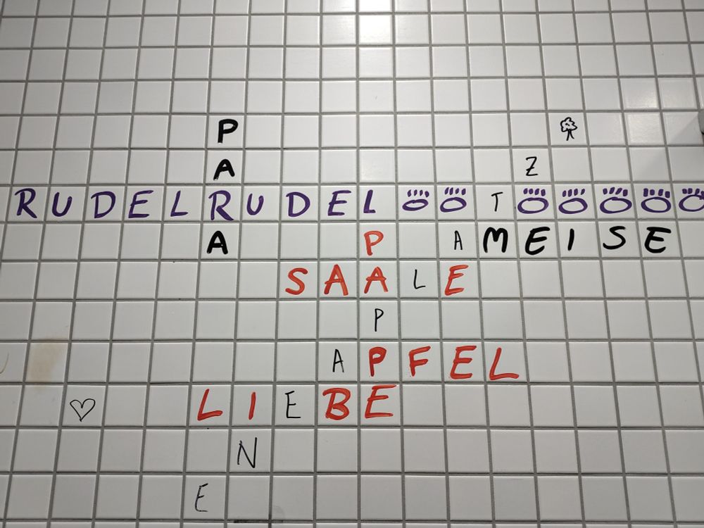 A checkered pattern on a tiled bathroom stall wall forms the grid for purple tags by 'Rudel'. Other people have added words in black and red to this base layer: Para (short for paranoia), Saale (Jena's river), Äpfel (apple), Liebe (love)...