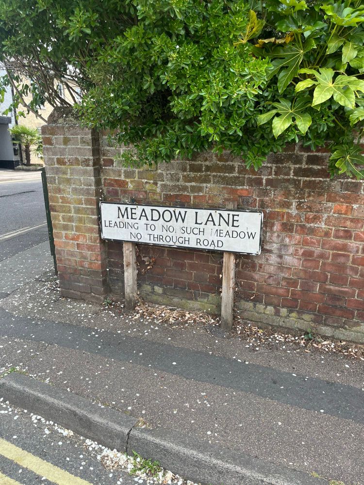 A lovely little street name sign for ‘Meadow Lane’ underneath this title in slightly smaller writing reads:
LEADING TO NO SUCH MEADOW
followed by 
NO THROỰGH ROAD

On closer inspection, it clearly used to read ‘nonsuch’ but someone has rubbed out the second N to bring the language up to a more modern standard. 