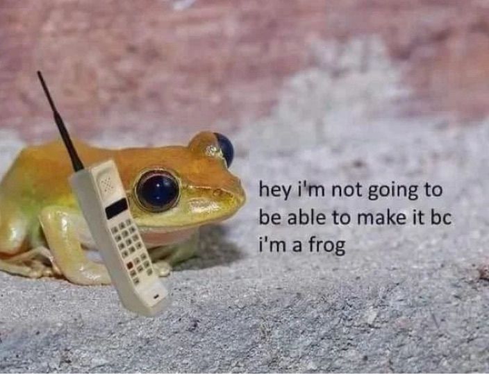 A lil cutie frog calls into work because aren’t we all over working?