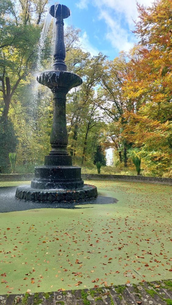 Schmiedeeiserne alte Springbrunnensäule, durch den Sturm ist das Wasser nur auf der einen Seite zu sehen. Entengrütze mit Laub im runden Wasserbecken. Herbstlich gefärbte Laubbäume im Hintergrund, kaum zu erkennen ist das Schloss der Pfaueninsel.
