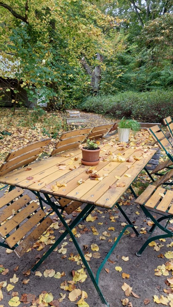 Zusammenklappbarer Holztisch und ebensolche Stühle die angekippt an dem Tisch abgelehnt sind. Tisch und Boden mit Herbstlaub bedeckt. 
Auf dem Tisch stehen zwei Blumentöpfe mit Kräuter bepflanzt. 