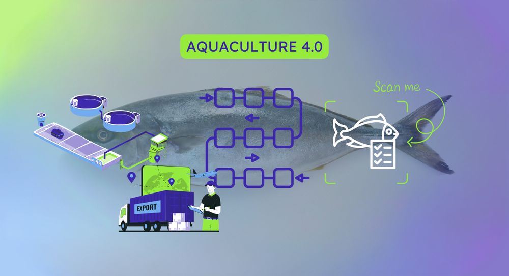 Producing fish in a aquaculture setting is an opportunitty to advance information systems that allow the final consumer to be sure he's eating the best quality fish. Blockchain methods are aligned with sustainability, total traceability and greater quality control