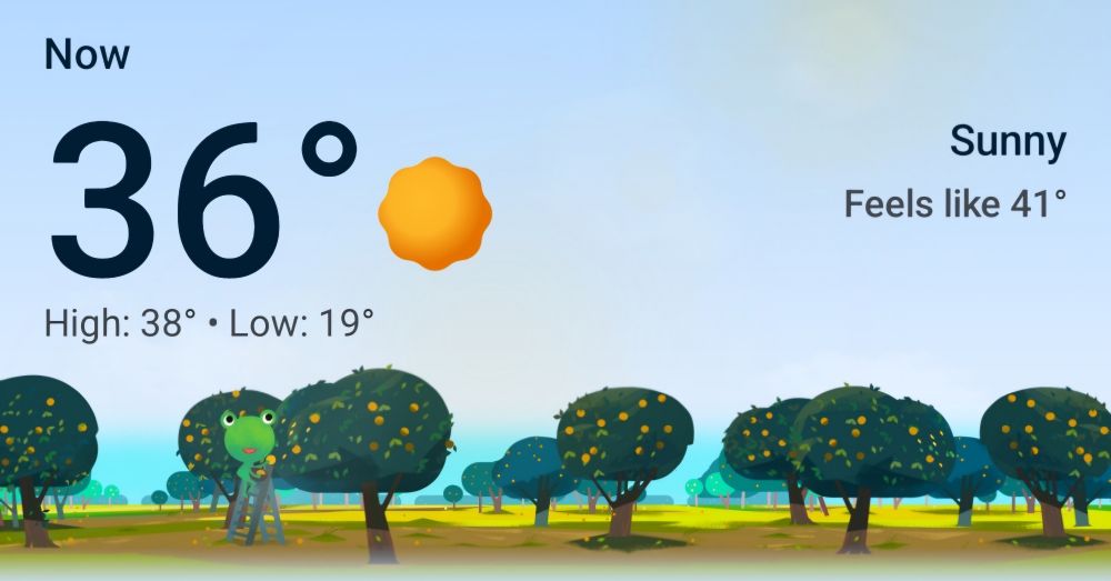 A screenshot of the current temperature and forecast in Google's weather app. 
Now: 36°C
Sunny.
Feels like 41°C
High: 38°C
Low: 19°C