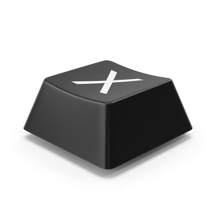 the X key on a keyboard, the key for bombing in touhou games