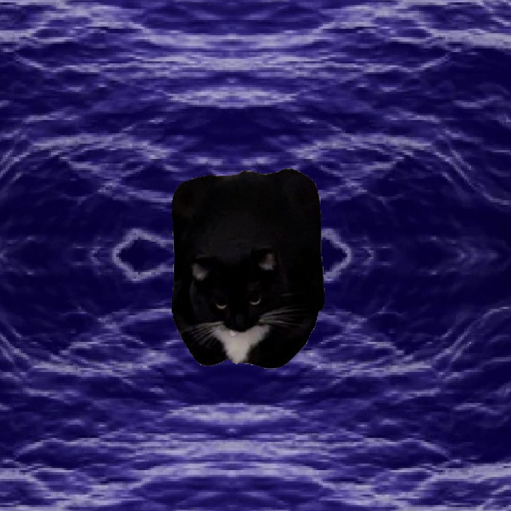 Comment image