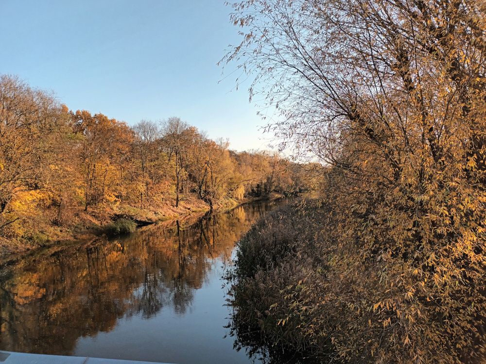 Blick auf den Flusslauf mit herbstlichen Bäumen
