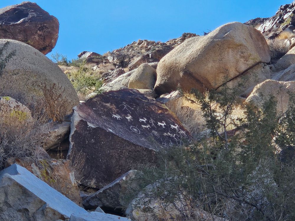 A hill in the desert with a dark rock that has petroplyphs of antelope on it. 