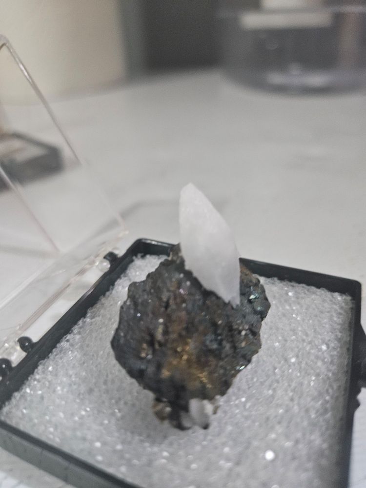 Dark-colored Chalcopyrite crystal with a white calcite crystal growing from the top of it. There is a small calcite crystal growing in the lower front corner as well. Mineral is mounted in a plastic display case on Styrofoam.  