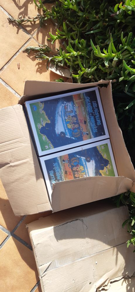 Cartons d'albums de bandes dessinées à récupérer 