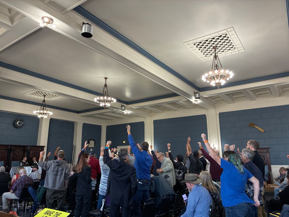 Voters showing their hands and wrists in a standing vote.