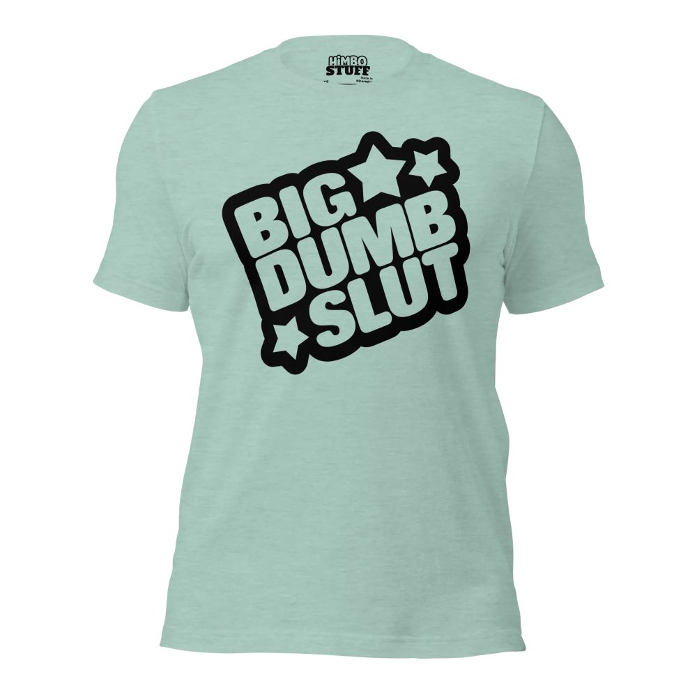 Product image for BIG DUMB SLUT T-shirt in heather dusty blue