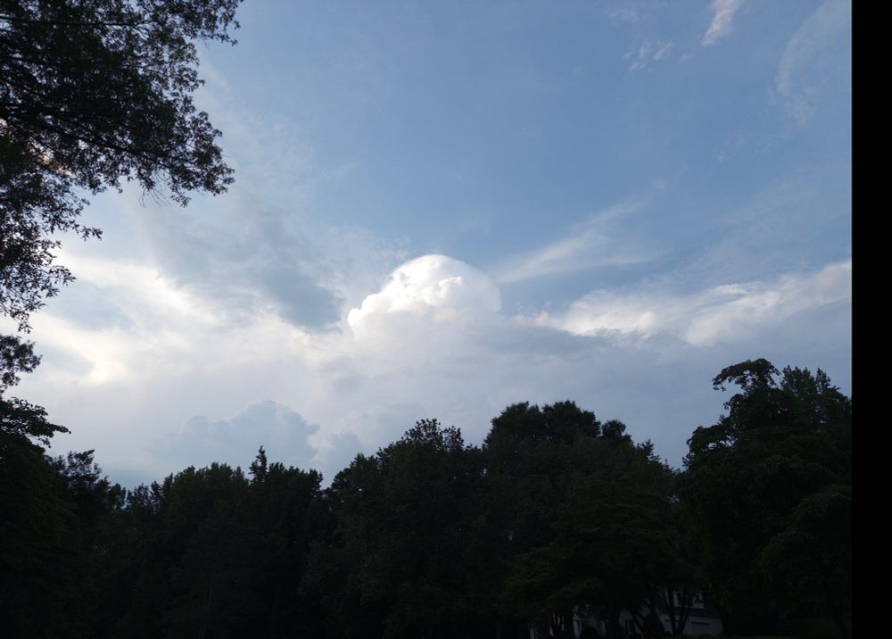 an odd dome shaped cloud above the treeline