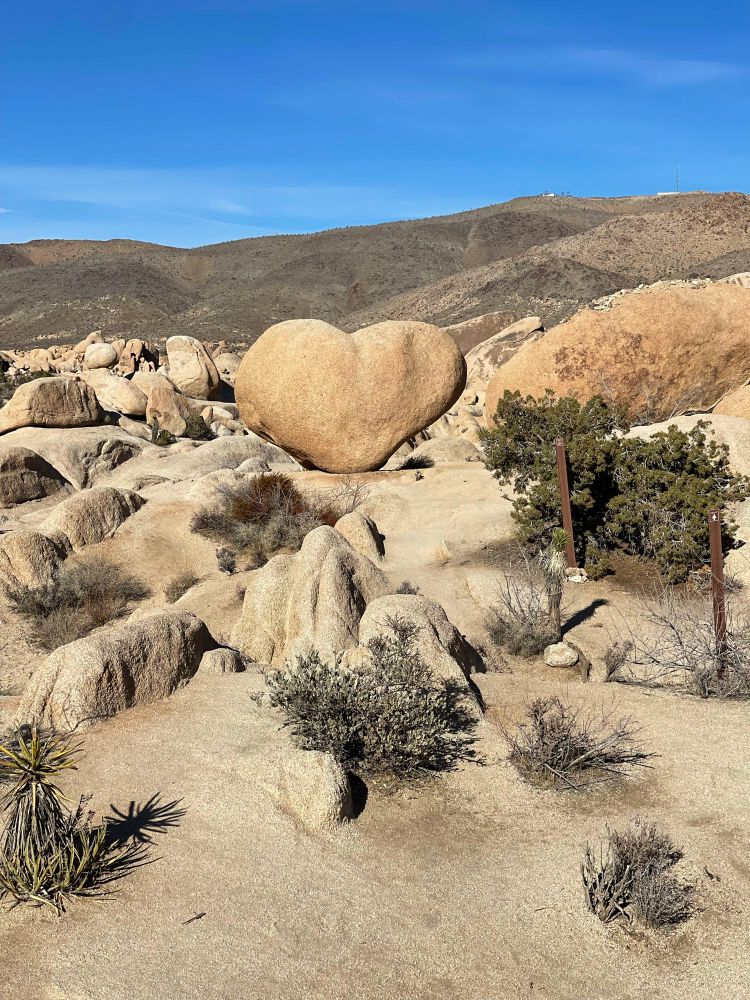 Picture is Heart shaped boulder in desert setting at Joshua Tree National park