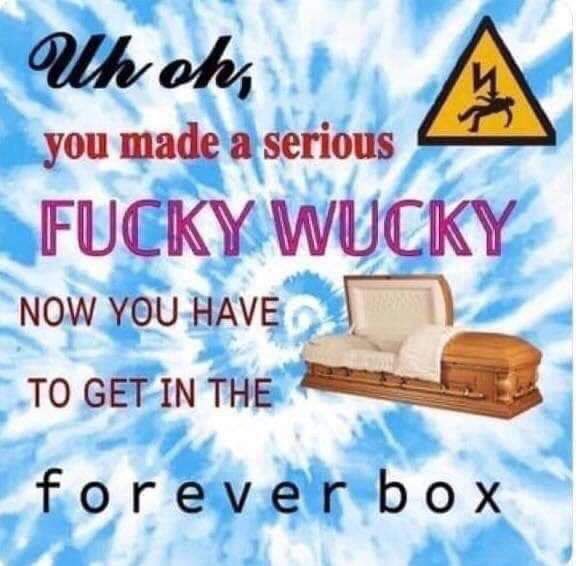 Uh oh, you made a serious FUCKY WUCKY
NOW YOU HAVE
TO GET IN THE
forever box
