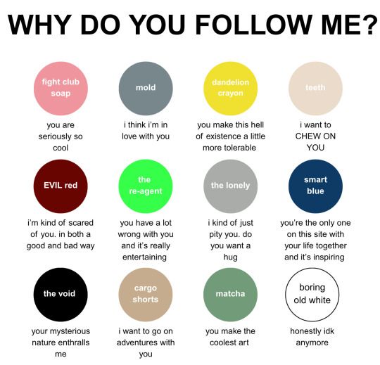 Meme chart titled “Why do you follow me?” with 12 colored circles, each giving a funny reason like “you’re seriously so cool,” “i think i’m in love with you,” “you make the coolest art,” “your mysterious nature enthralls me,” or just “honestly idk anymore.”