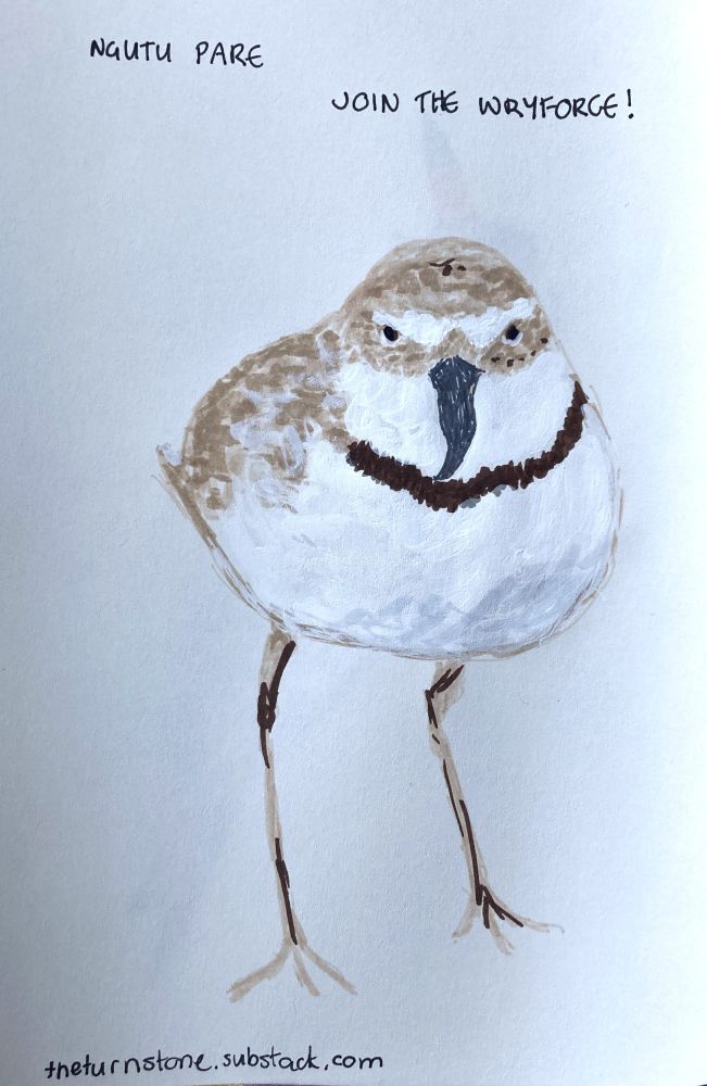 A felt pen drawing of a brown and white wading bird, with a black ring around the neck and a sideways curved beak. Caption join the wryforce