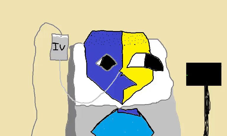 ena in a hospital bed dying of cancer