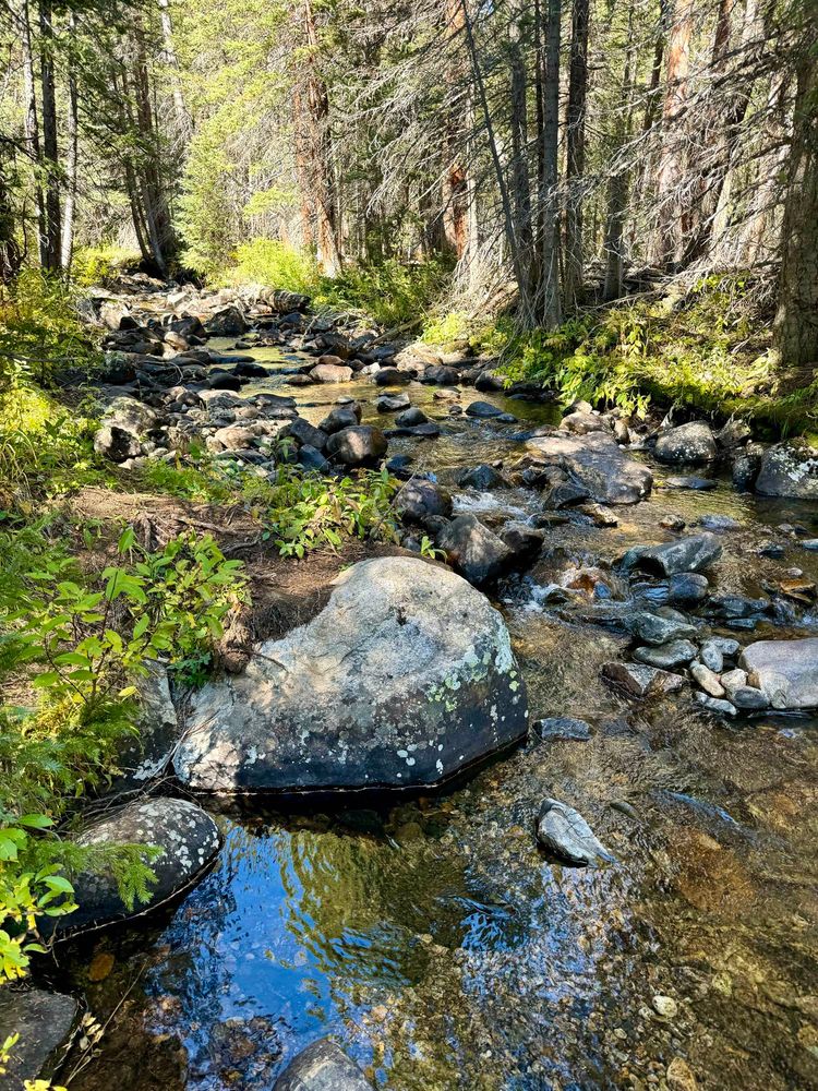 Lake Fork Arkansas River
This river originates in the Holy Cross Wilderness, north of Mount Massive in the Northern Sawatch Range. It flows through Timberline Lake and Turquoise Lake, and then joins the Arkansas River southwest of Leadville.