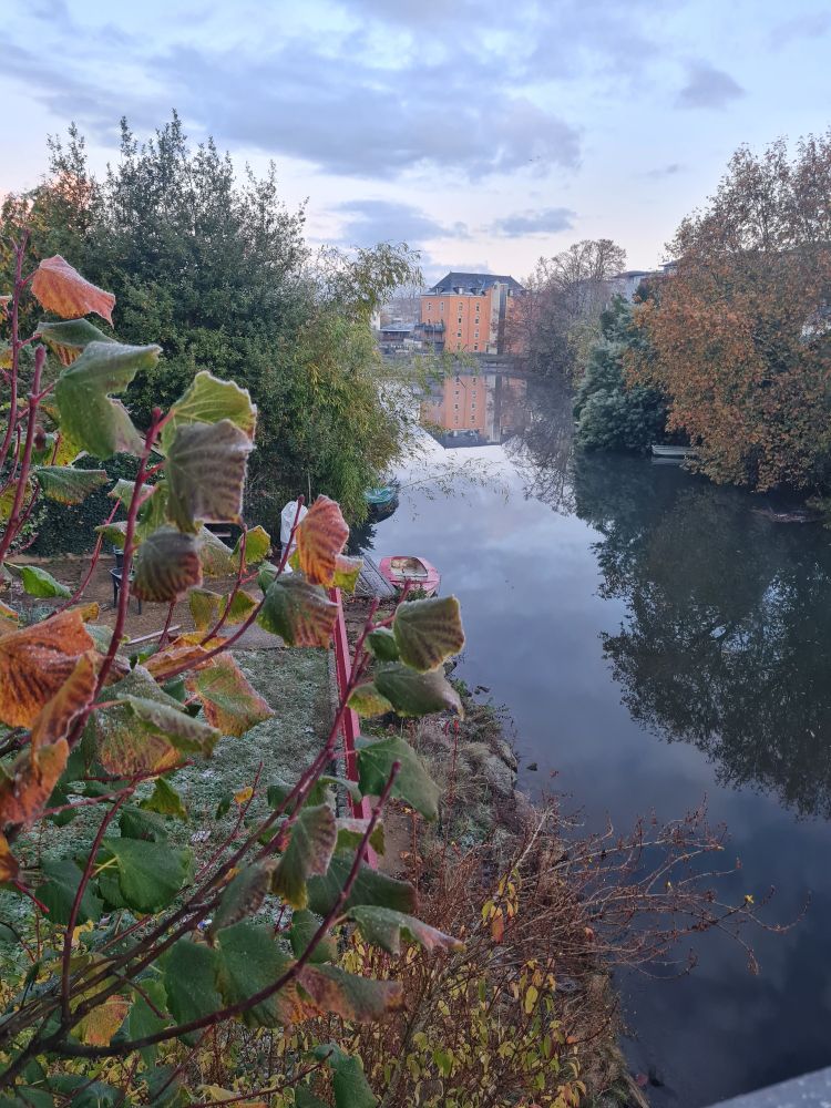 Le jour se lève sur l'Huisne.
Vue d'un pont vers le moulin du Gué de Maulny. La végétation des berges est gelée. 