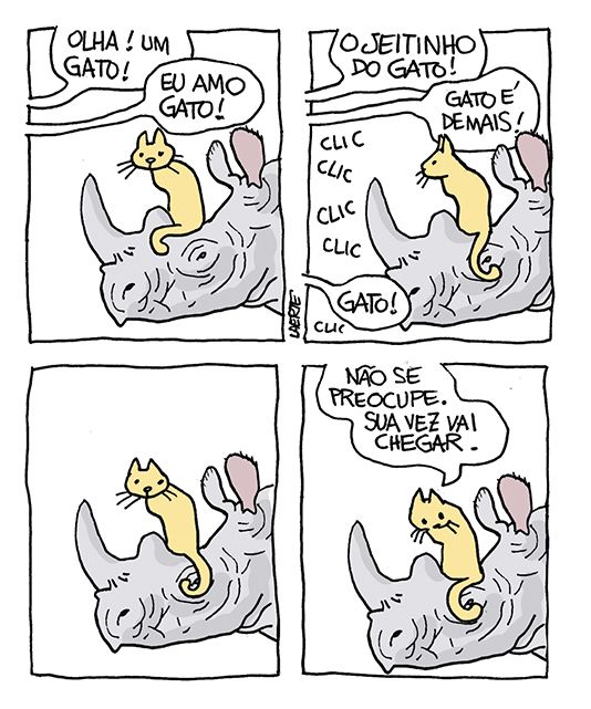 Tira de Laerte, em 4 quadrinhos.
1) Um gato está sentado sobre o focinho de um rinoceronte. De fora de cena chegam vozes de pessoas: “Olha! Um gato!” - “Eu amo gato!”
2) As vozes continuam dizendo: “O jeitinho do gato!” - “Gato é demais” - “Gato!”. ouvem-se vários CLICs de fotos sendo batidas.
3) O gato e o rinoceronte continuam parados.
4) O gato diz para o rinoceronte: “Não se preocupe. Sua vez vai chegar.”