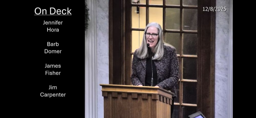 Jennifer Hora testifying at the Indiana Senate Elections committee 