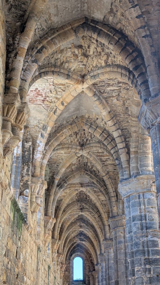 Another view of the vaulting down one of the aisles of pillars