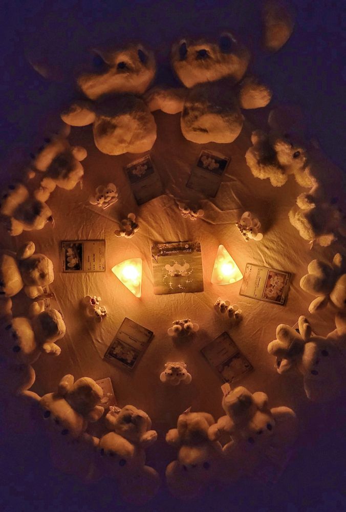 Dark photo of a bunch of Tandemaus plushies layed out in a circle. Inside the circle are Tandemaus cards and figurines. In the center is a print out of an in-game screenshot from the Pokemon Go app of a shiny Tandemaus encounter, flanked by 2 cheese-shaped lights. I just really want to be this person with the shiny encounter, ok?