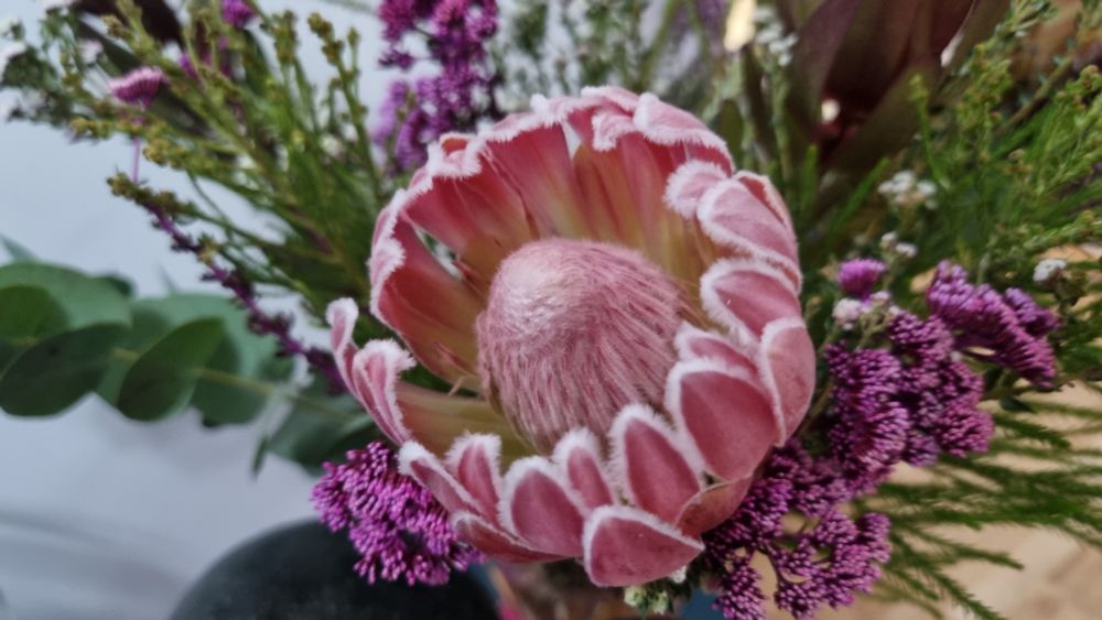Pink protea in the foreground of a bouquet of flowers