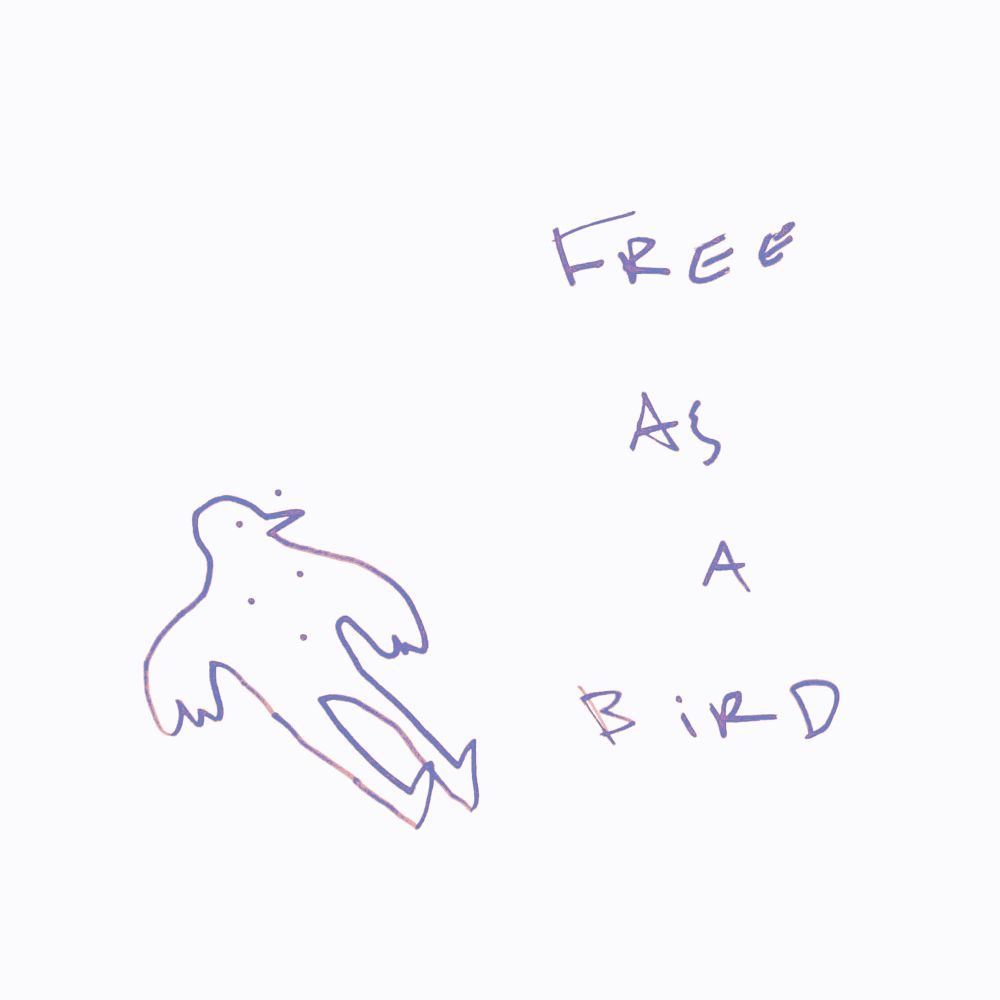 A bird sits down, text that reads, “Free as a Bird” floats next to them