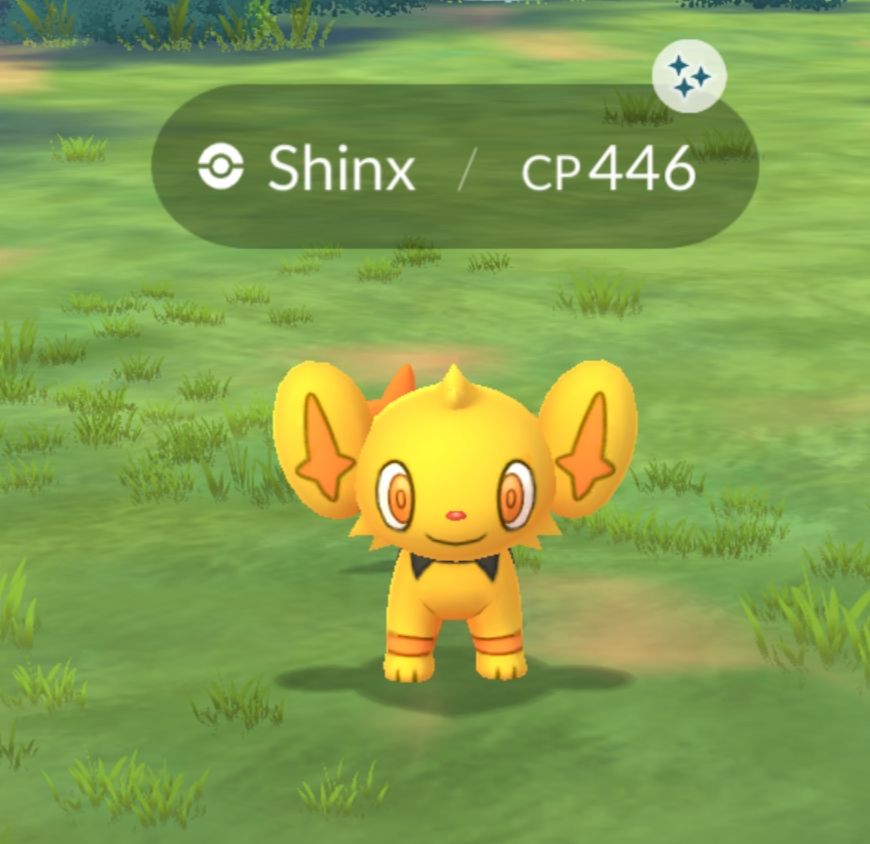 A shiny Yellow Shinx in Pokémon Go