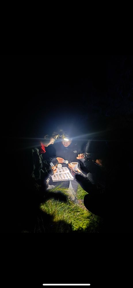 Light trapping in the hut