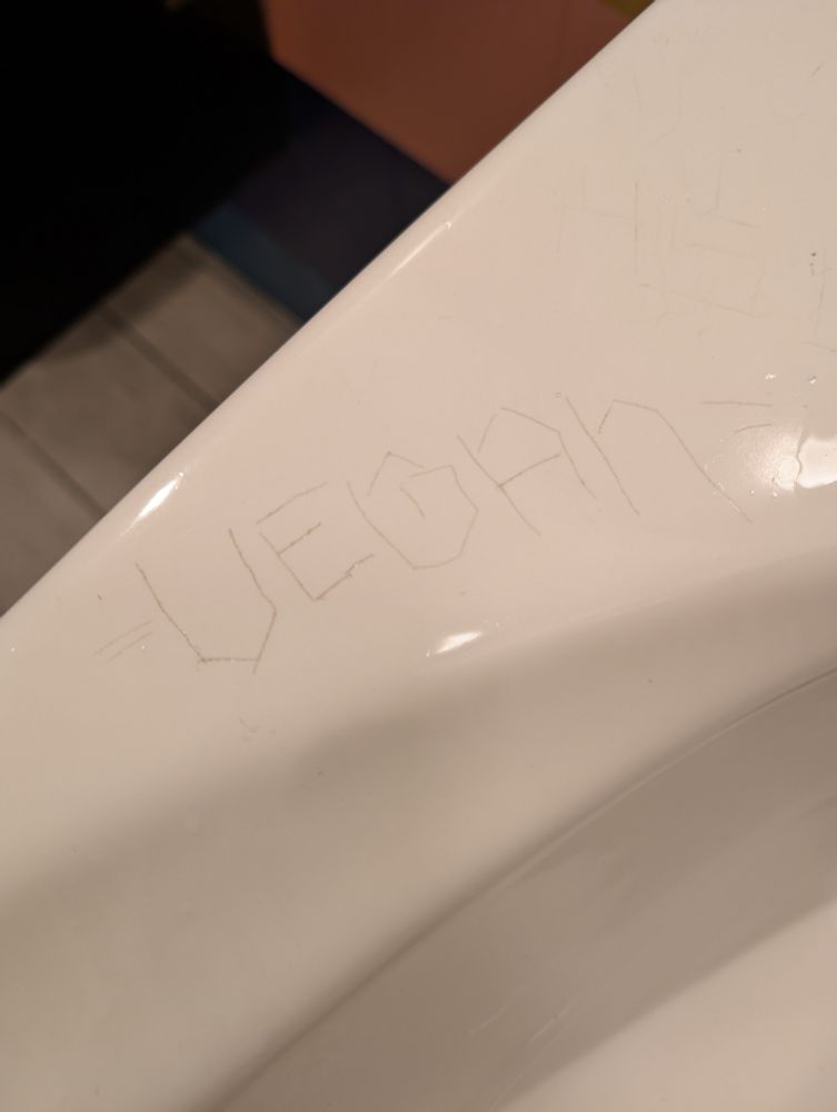 The word 'vegan' carved into a bathroom sink