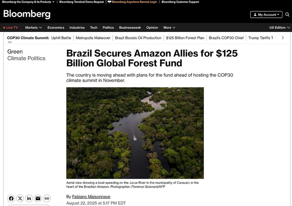 Headline: Brazil secures Amazon allies for $125 million global forest fund