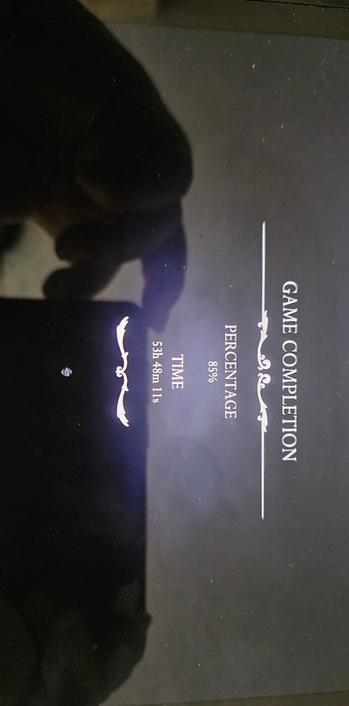 Silksong completion percentage 85% in 53 hours, 48 minutes, 11 seconds 