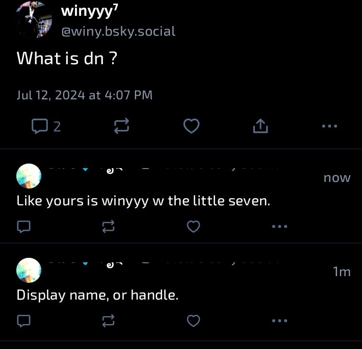 A screenshot of my BlueSky feed showing how my handle or display name isn't showing up.