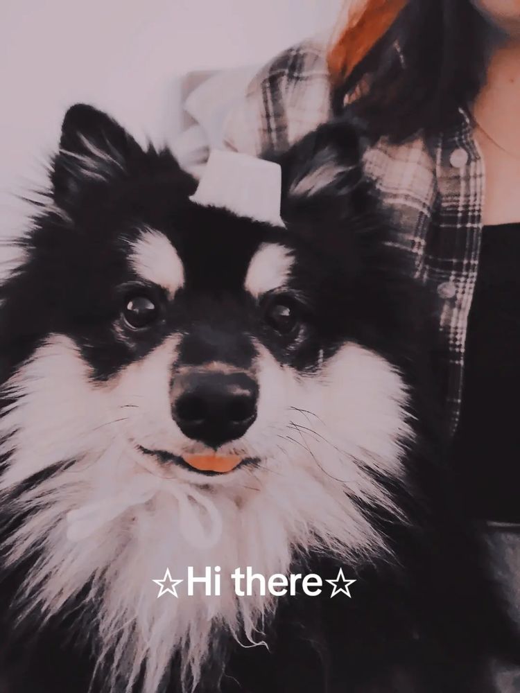 Our dog wearing a silly hat with my wife in the background