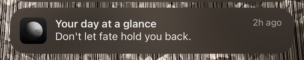 Co-star says “Don’t let fate hold you back.”