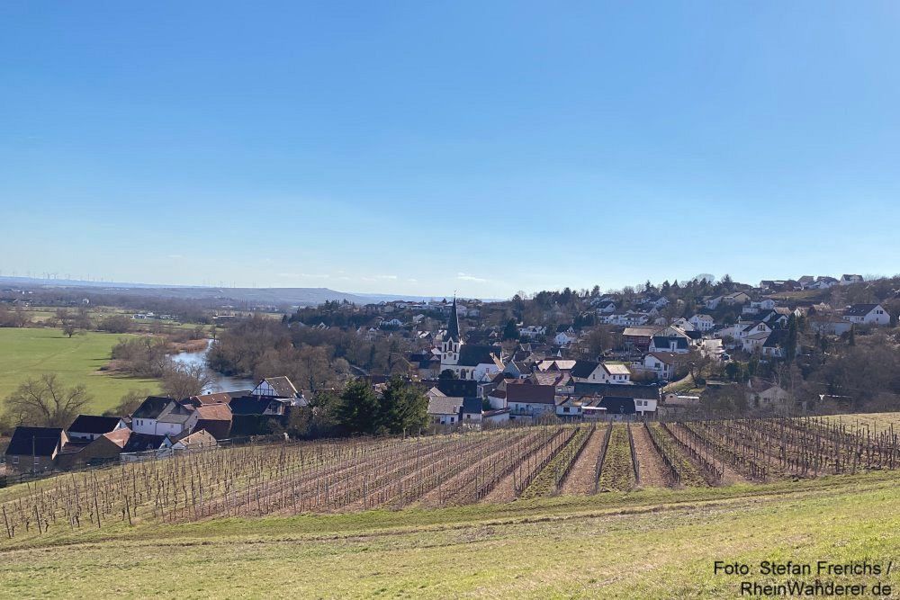 Wanderung | Nahe-Weinwanderweg 1: Von Bingen nach Laubenheim