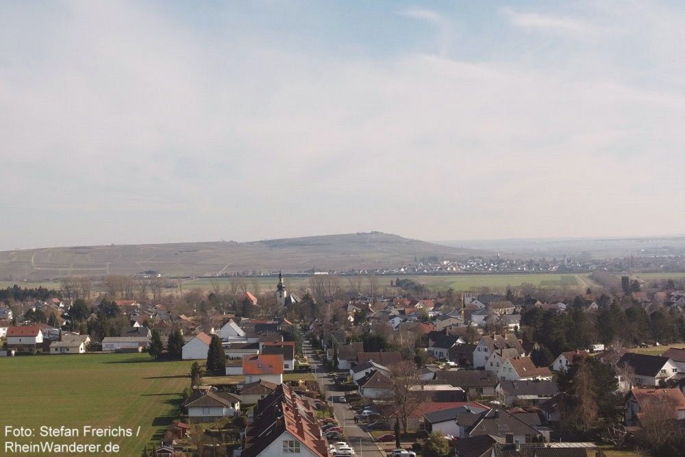 Wanderung | Nahe-Weinwanderweg 2: Von Laubenheim nach Bretzenheim