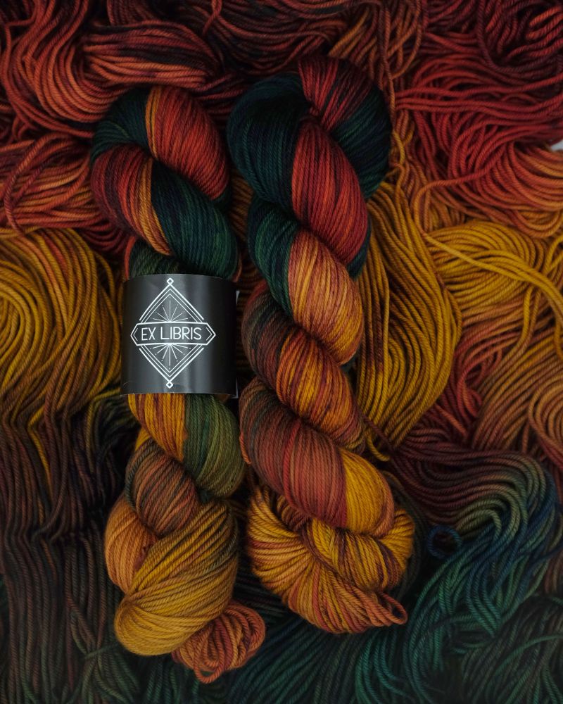 Yarn Bits and Bobs exclusive color Yellowjackets in superwash DK merino by Ex Libris Fibers