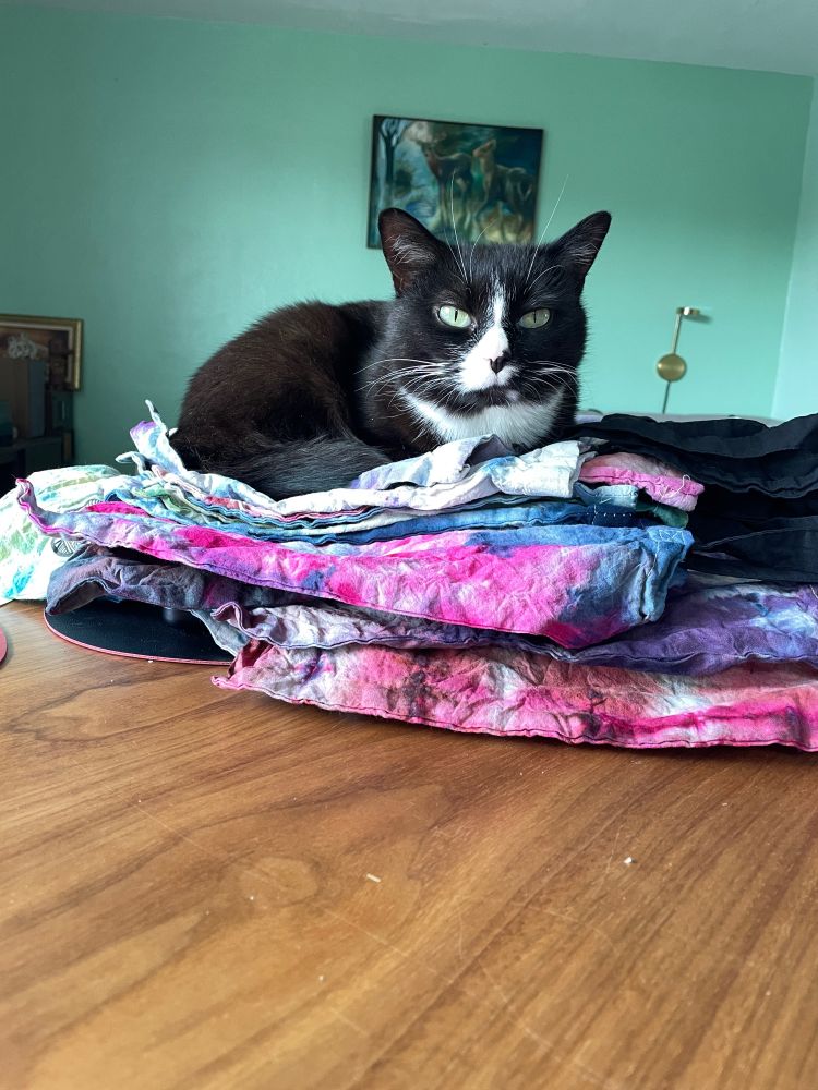 A small tuxedo cat defiantly rests on a pile of ice dyed tote bags that need to be ironed