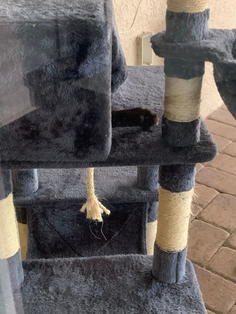 Cat tree with a single paw sticking out of a house.