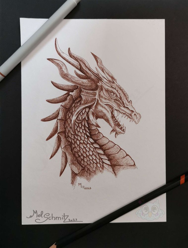 Klassisches Drachenkopf Portrait ( Profil) mit sepiafarbenem Fineliner gezeichnet / classic dragonhead portrait (profile view) made with sepia fineliner