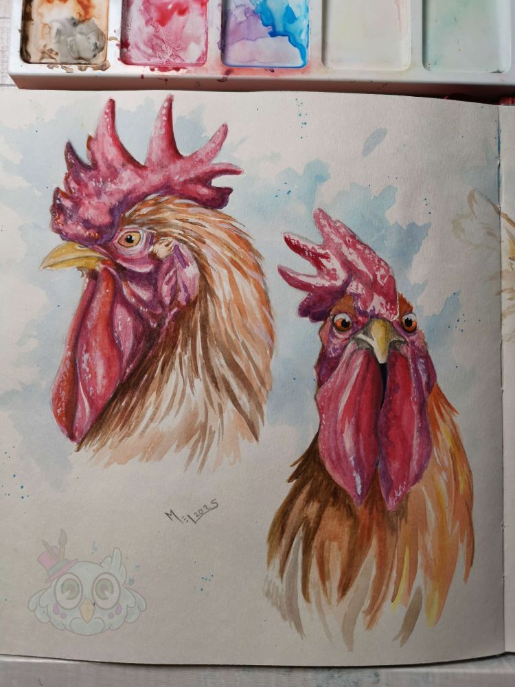 Skizzenbuchzeichnung:  2 Hahnenportraits. LInks: Profil. Rechts: Frontalansicht.
Beides  in einem rötlichem Braun gehalten.